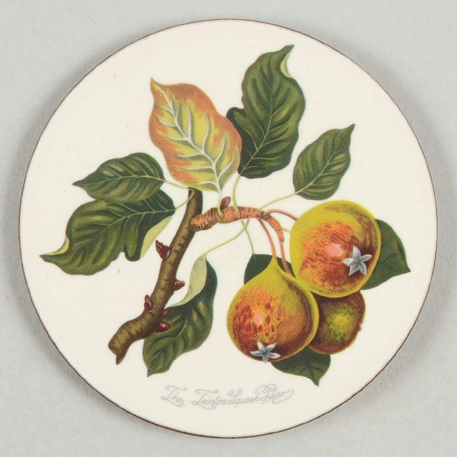 Pomona Cork Back Round Coaster by Portmeirion-1