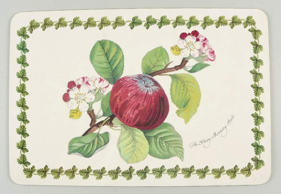 Pomona Corkboard Placemat by Portmeirion-1