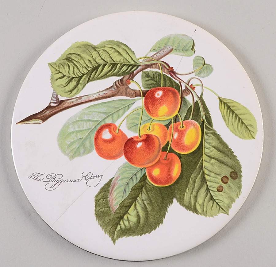 Pomona 6" Round Trivet by Portmeirion-1