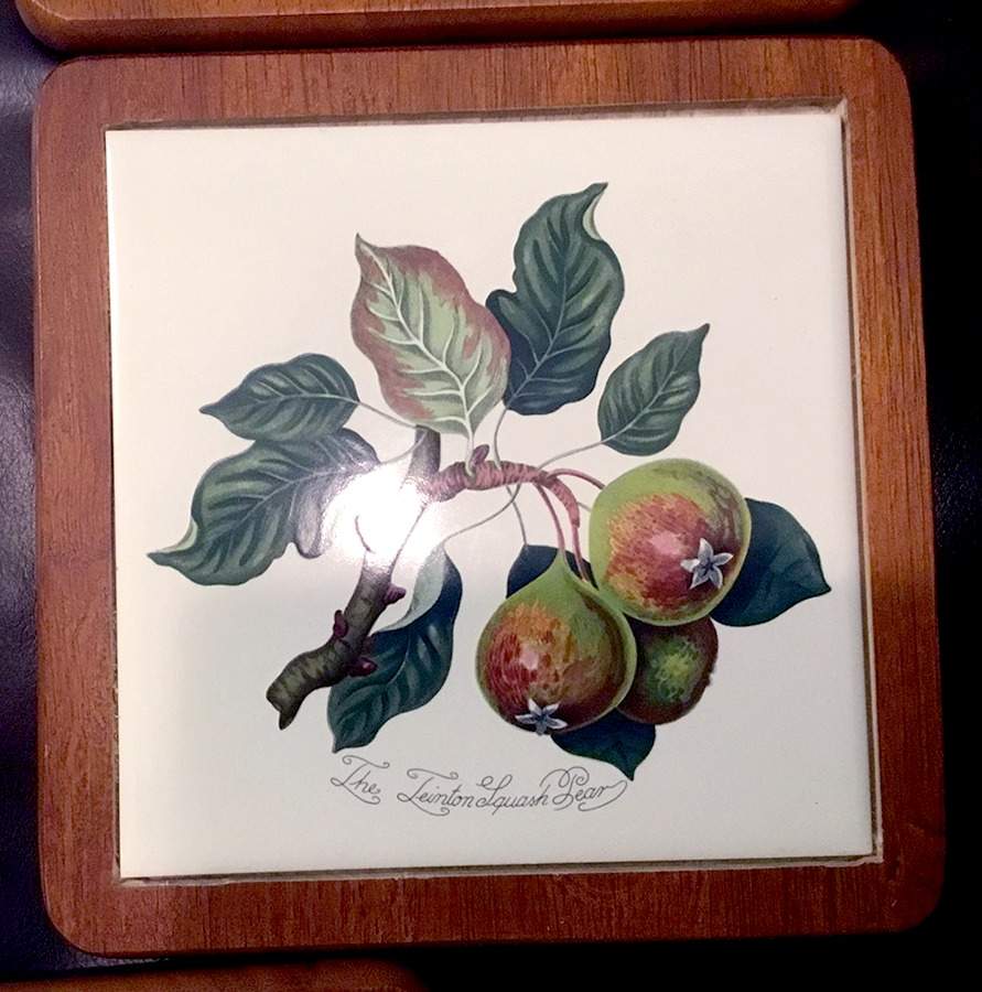 Pomona Wood Frame Trivet by Portmeirion-1