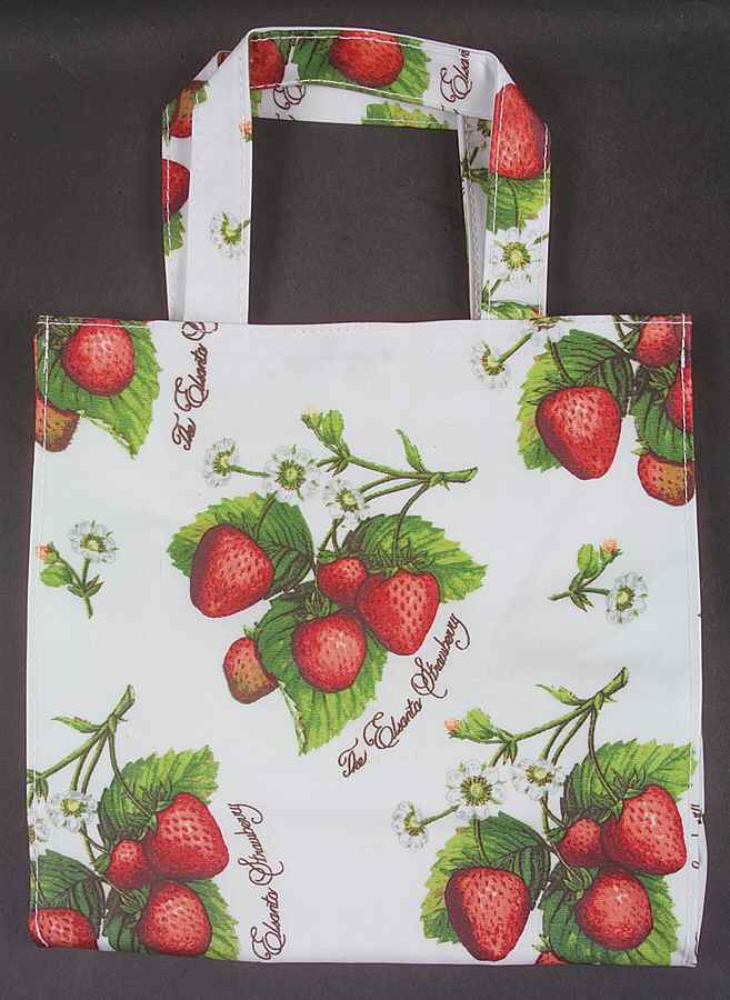 Pomona Matt PVC Mini Gusset Bag by Portmeirion-1