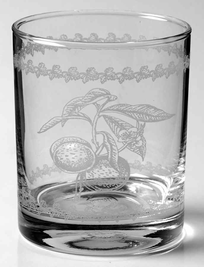 Pomona 8 Oz Glassware Etch Tumbler by Portmeirion-1