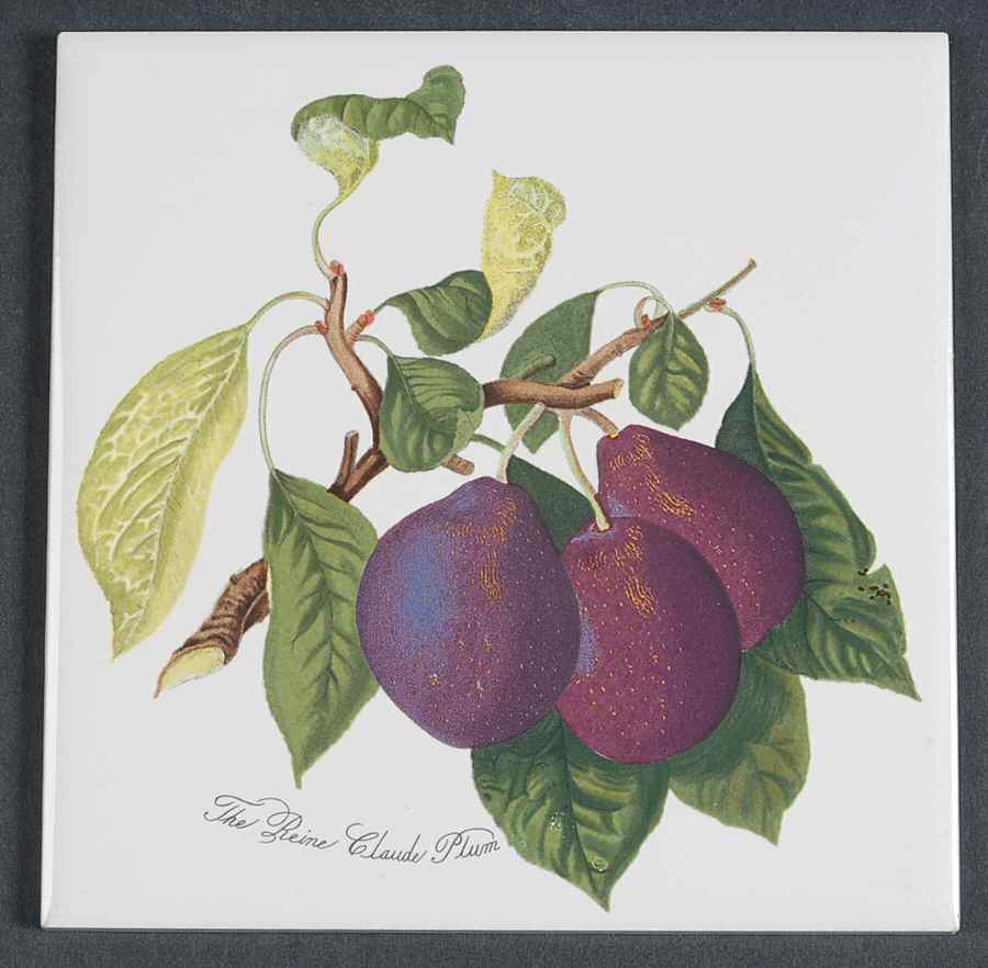 Pomona 6" Wall Tile Aka Tile Insert by Portmeirion-1