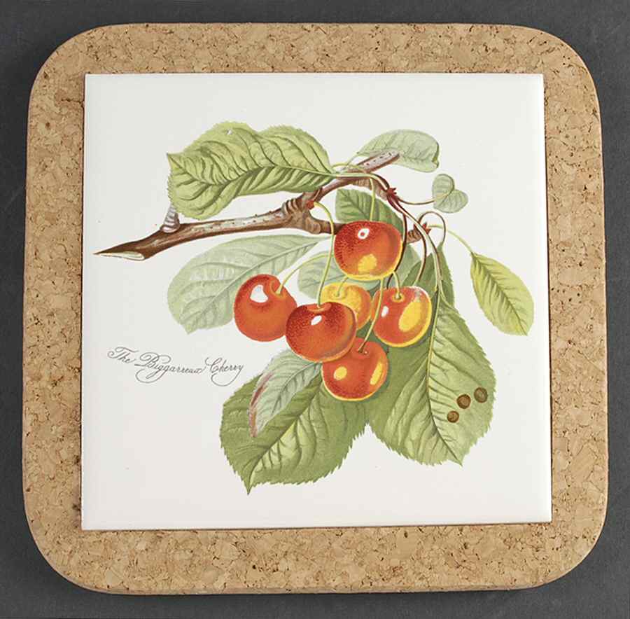 Pomona 7" Square Cork Back Trivet by Portmeirion-1