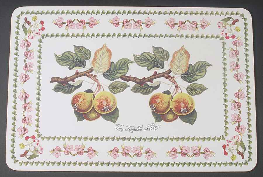 Pomona Corkboard Placemat by Portmeirion-1
