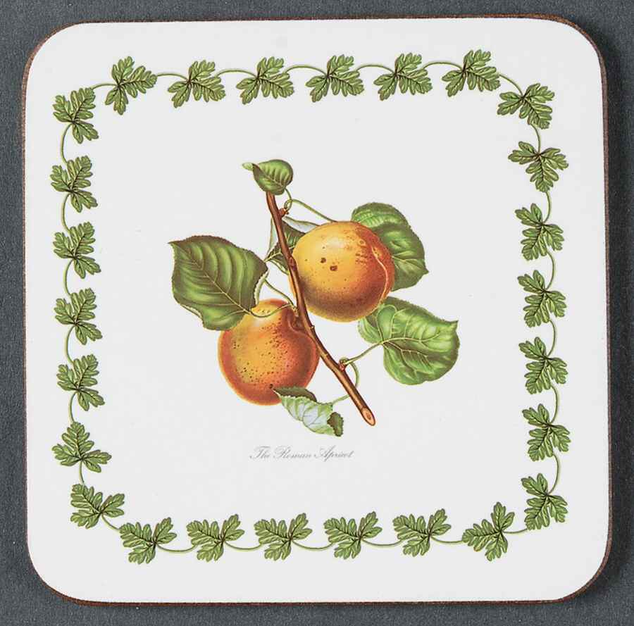 Pomona Square Cork Back Coaster-No Floral Border by Portmeirion-1