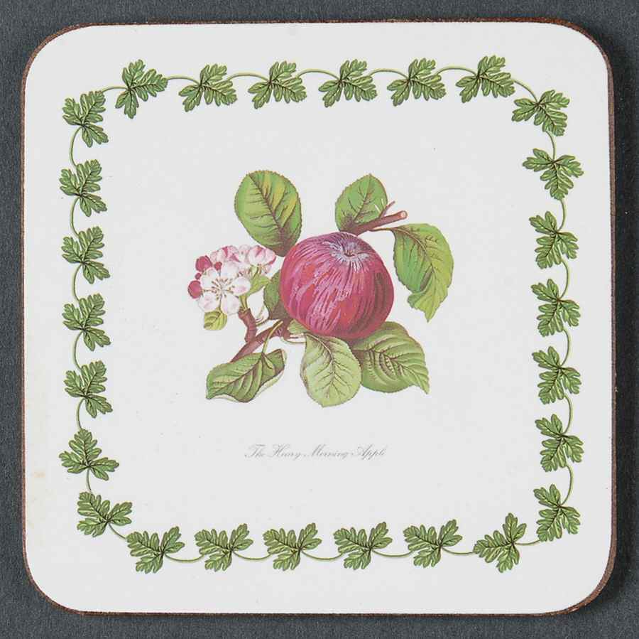Pomona Square Cork Back Coaster-No Floral Border by Portmeirion-1