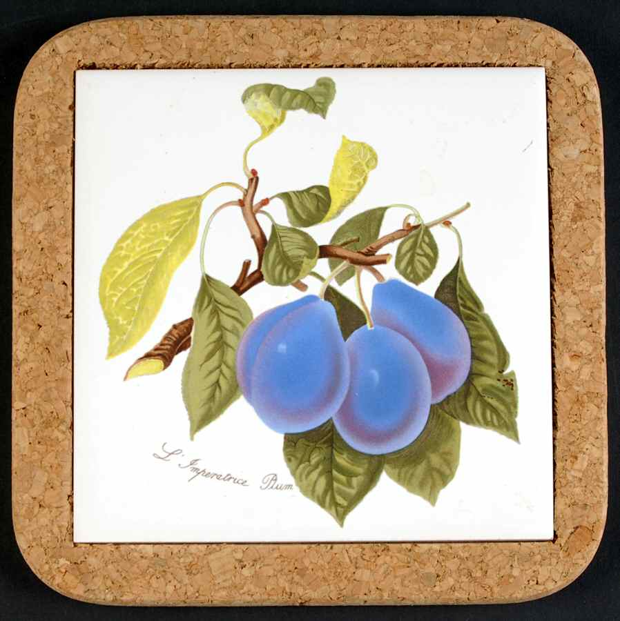 Pomona 7" Square Cork Back Trivet by Portmeirion-1