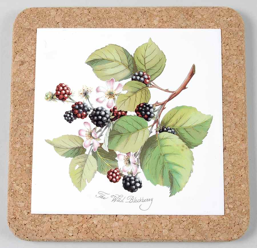 Pomona 7" Square Cork Back Trivet by Portmeirion-1