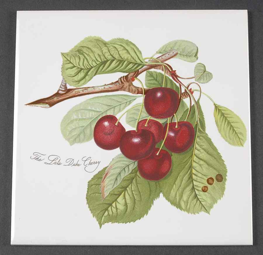 Pomona 6" Wall Tile Aka Tile Insert by Portmeirion-1