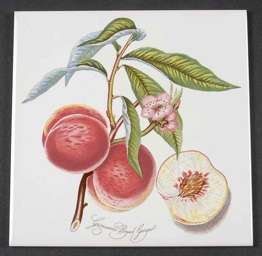 Pomona 6" Wall Tile Aka Tile Insert by Portmeirion-1