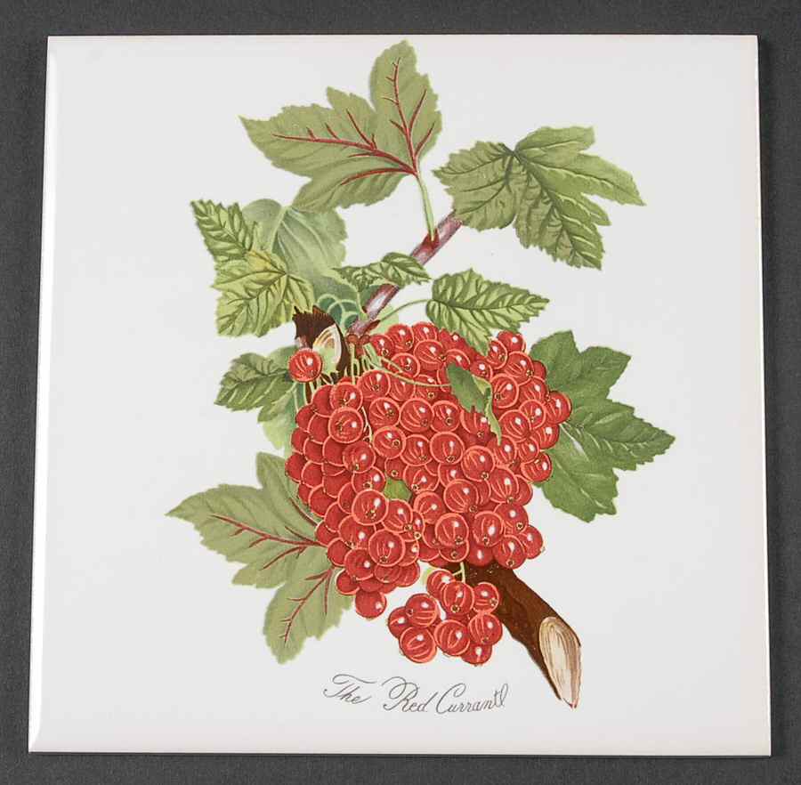 Pomona 6" Wall Tile Aka Tile Insert by Portmeirion-1