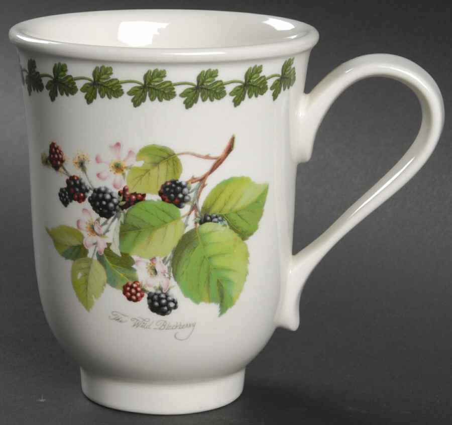 Pomona Beaker (English Mug) with Border by Portmeirion-1