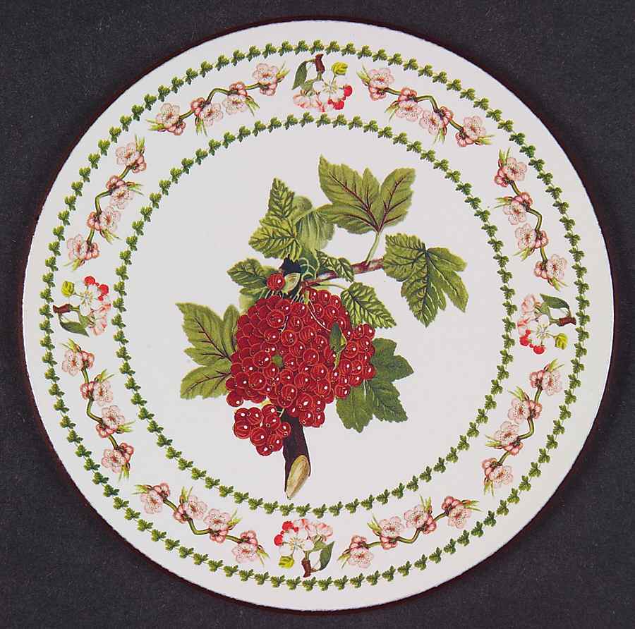 Pomona Round Cork Back Coaster with Floral Border by Portmeirion-1