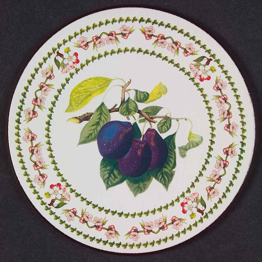 Pomona Round Cork Back Coaster with Floral Border by Portmeirion-1