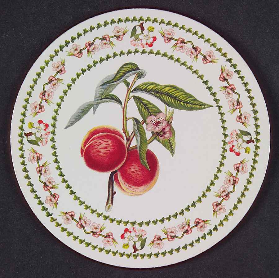 Pomona Round Cork Back Coaster with Floral Border by Portmeirion-1