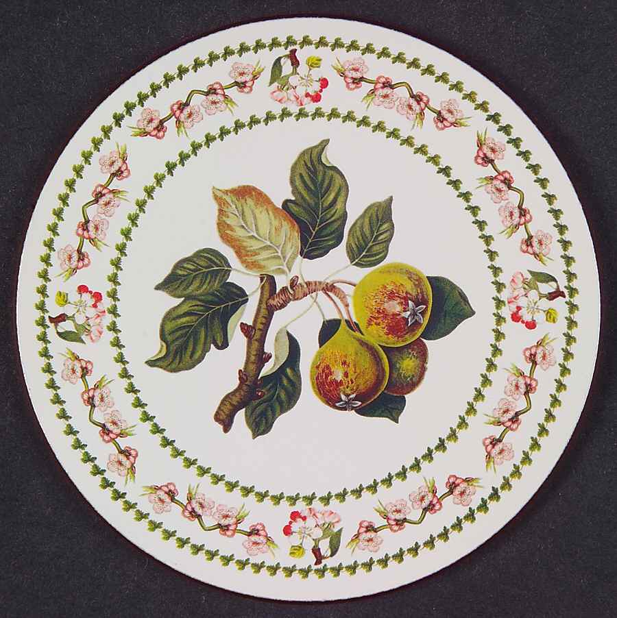 Pomona Round Cork Back Coaster with Floral Border by Portmeirion-1