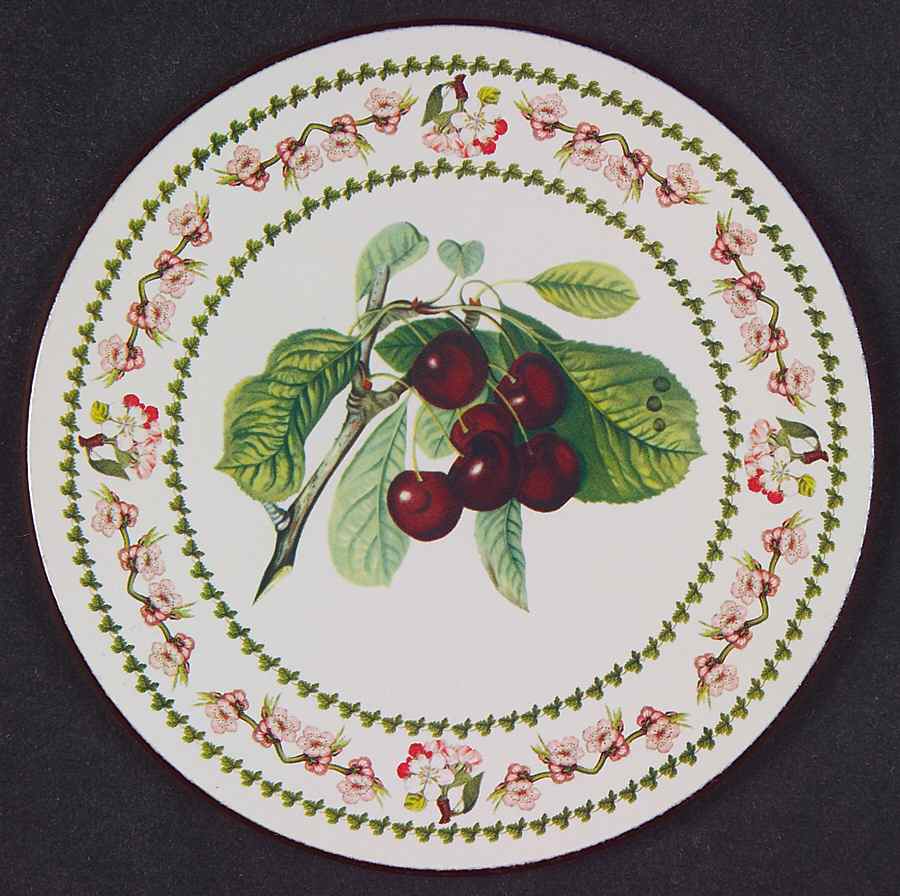 Pomona Round Cork Back Coaster with Floral Border by Portmeirion-1