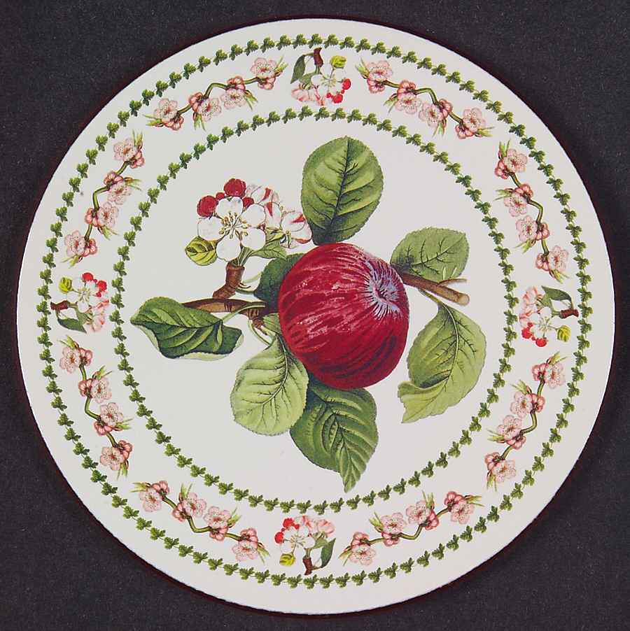 Pomona Round Cork Back Coaster with Floral Border by Portmeirion-1