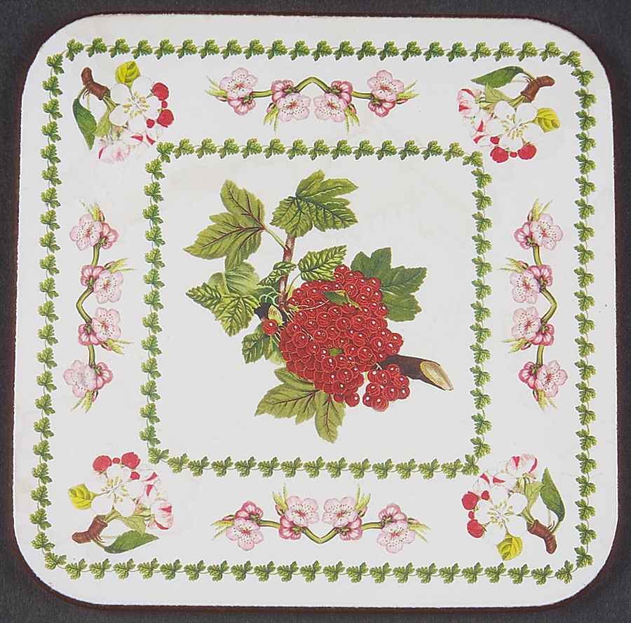 Pomona Square Cork Back Coaster with Floral Border by Portmeirion-1