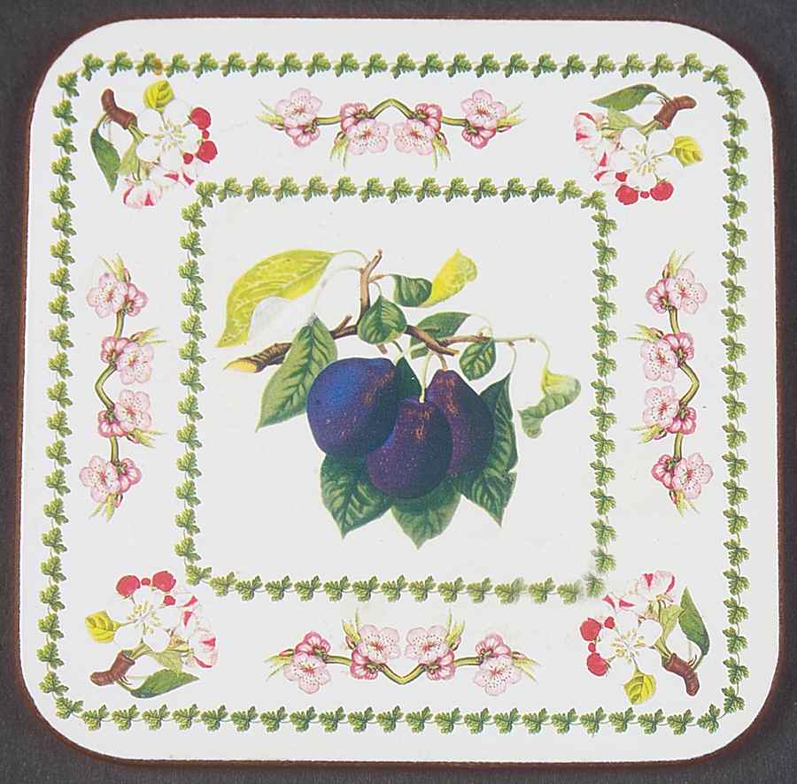 Pomona Square Cork Back Coaster with Floral Border by Portmeirion-1