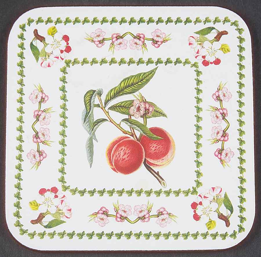 Pomona Square Cork Back Coaster with Floral Border by Portmeirion-1
