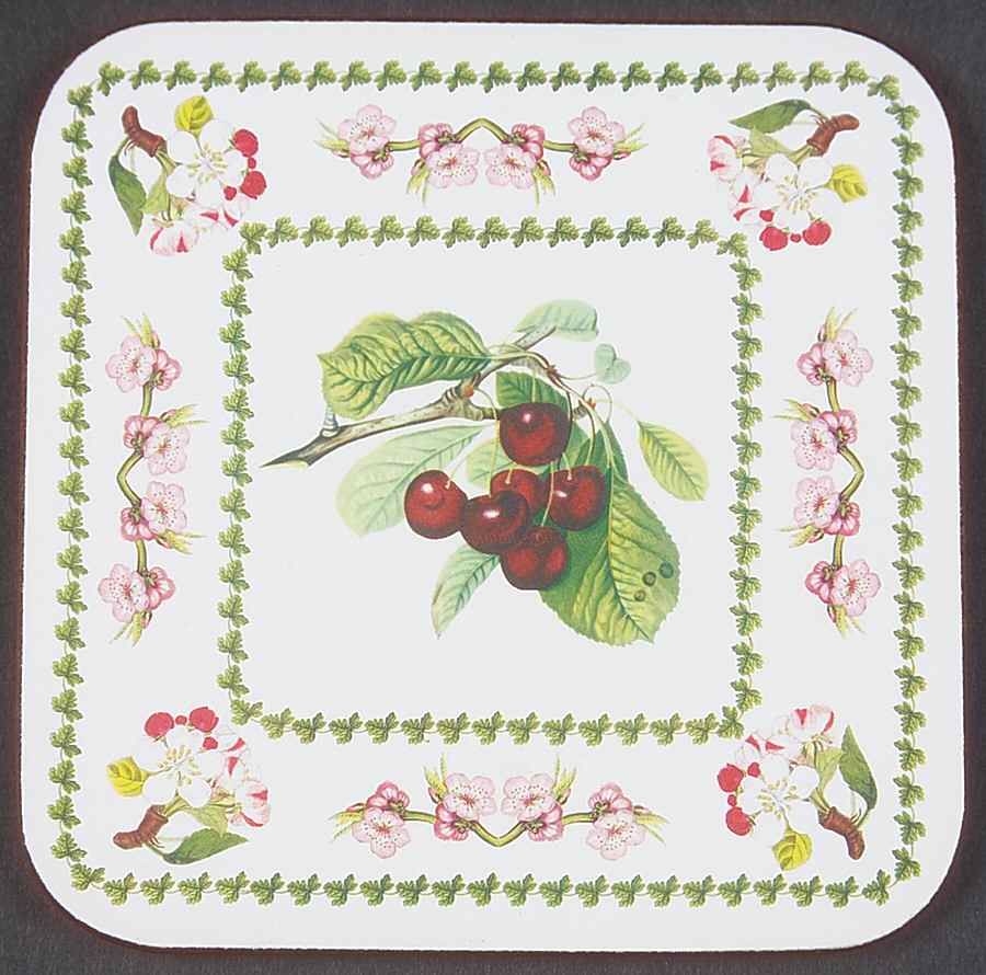 Pomona Square Cork Back Coaster with Floral Border by Portmeirion-1