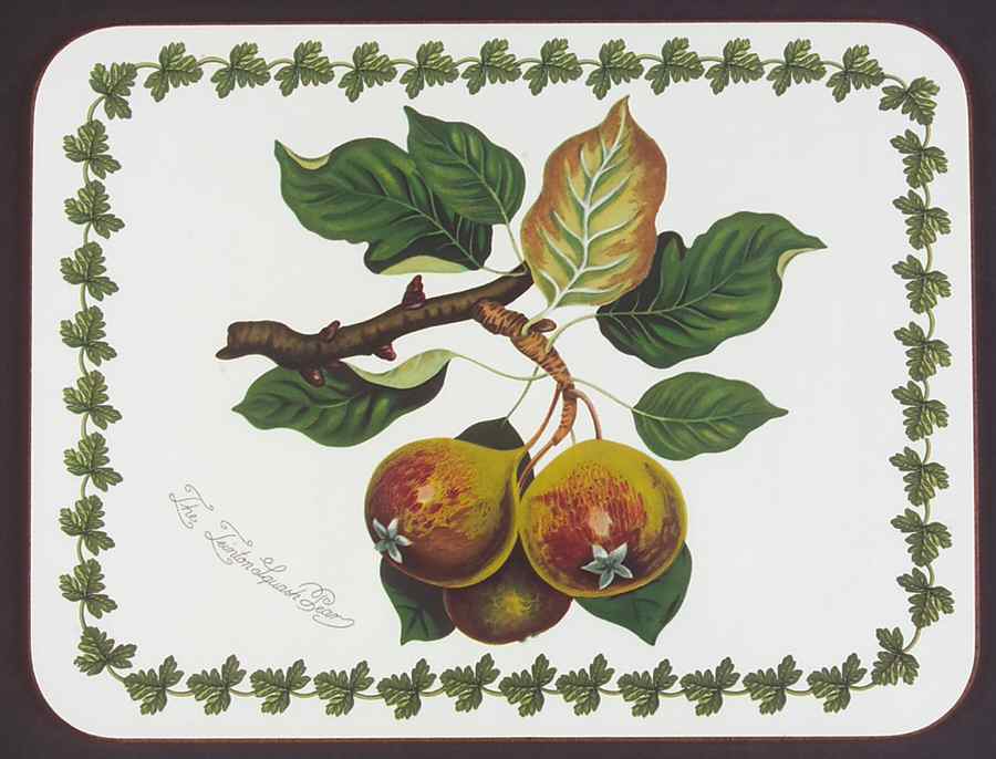 Pomona Small Corkboard Placemat by Portmeirion-1
