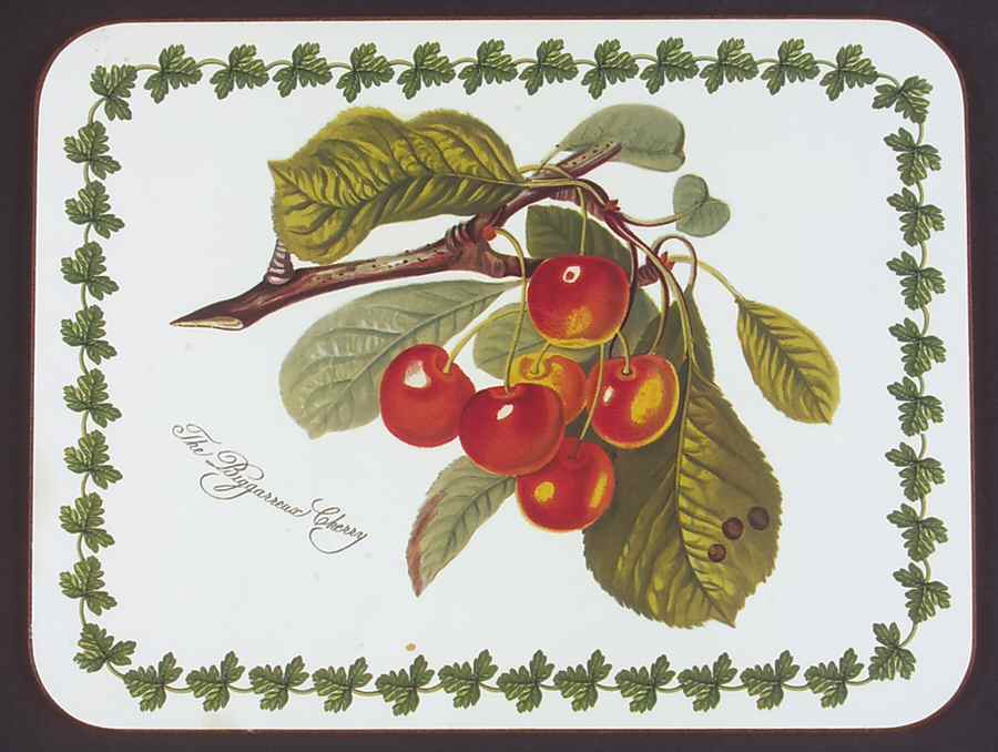 Pomona Small Corkboard Placemat by Portmeirion-1