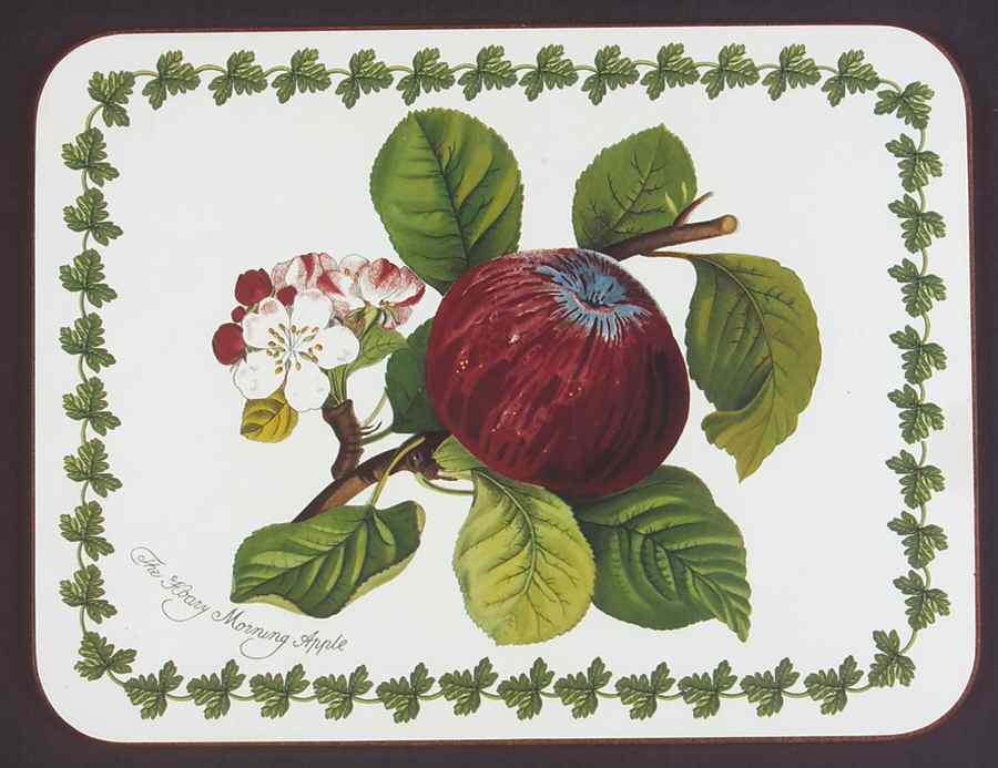 Pomona Small Corkboard Placemat by Portmeirion-1