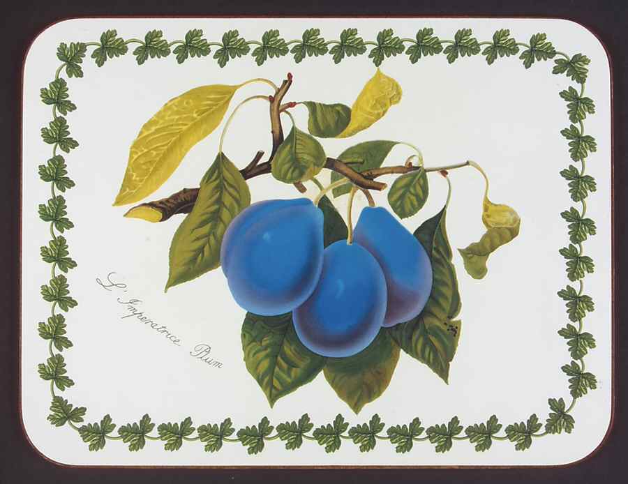 Pomona Small Corkboard Placemat by Portmeirion-1