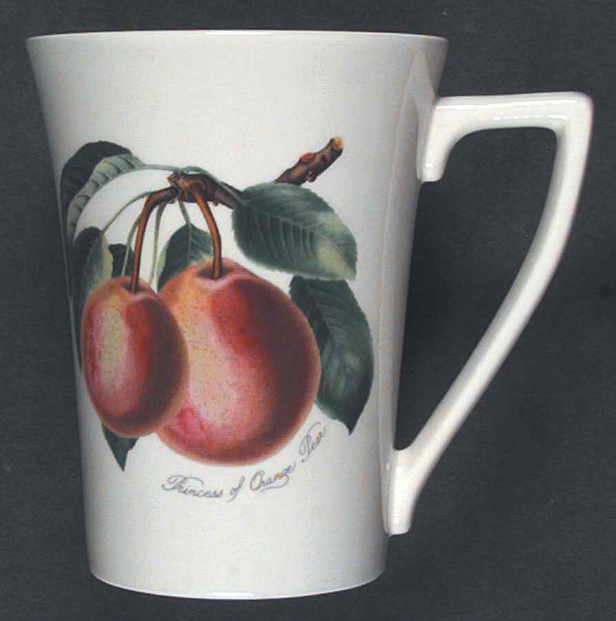 Pomona Mandarin Mug by Portmeirion-1