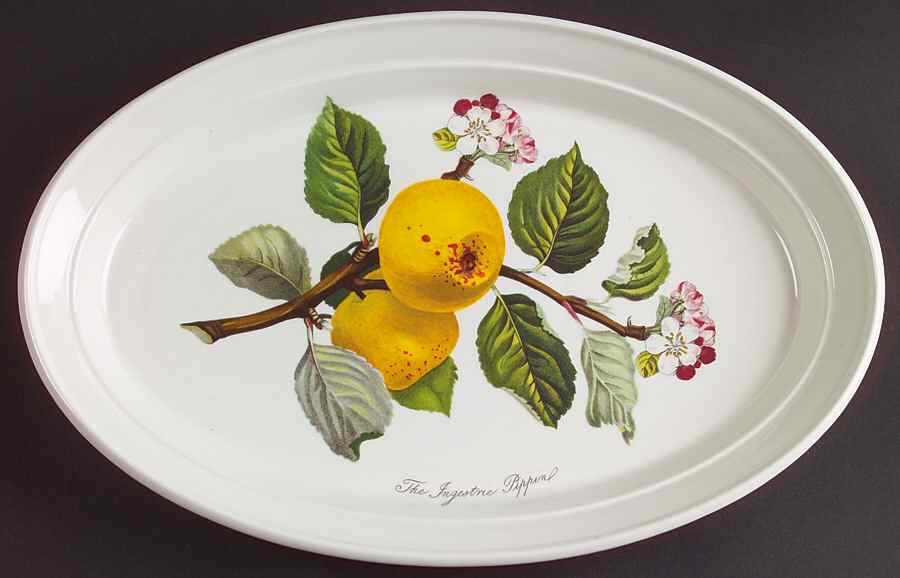 Pomona 10" Oval Steak Platter by Portmeirion-1