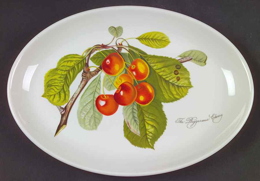 Pomona 10" Oval Steak Platter by Portmeirion-1