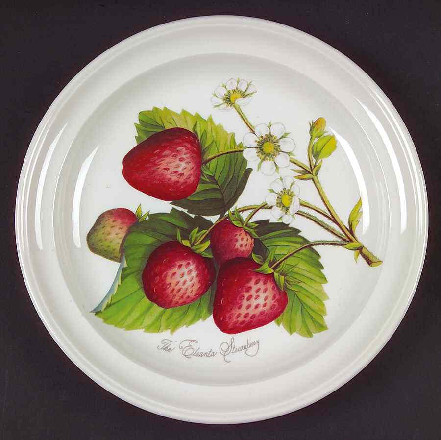 Pomona Salad Plate by Portmeirion-1