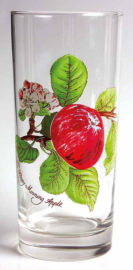 Pomona 16 Oz Glassware Tumbler by Portmeirion-1