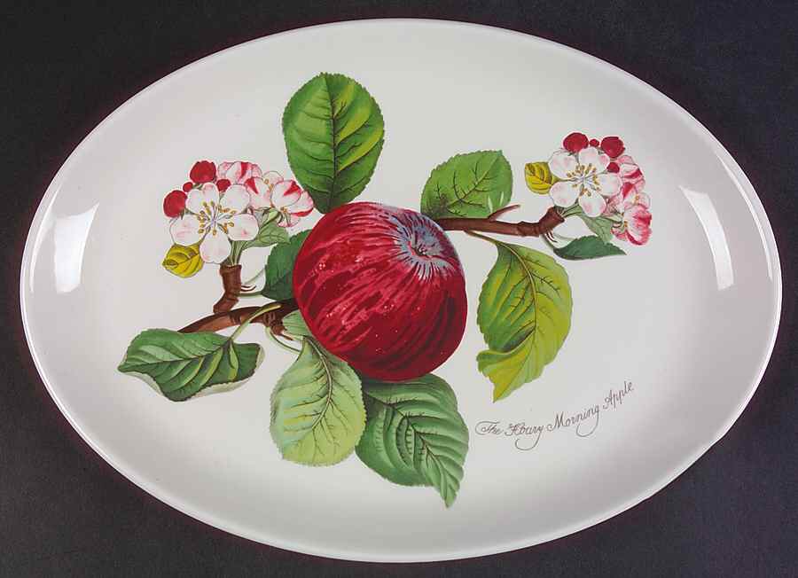 Pomona 13" Oval Steak Platter by Portmeirion-1