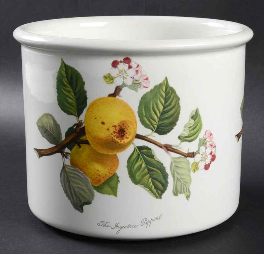 Pomona 6" Planter Pot by Portmeirion-1