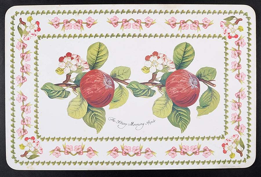 Pomona Corkboard Placemat by Portmeirion-1