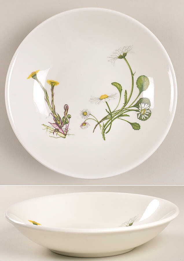 The Queen's Hidden Garden 8" Individual Pasta Bowl by Portmeirion-1