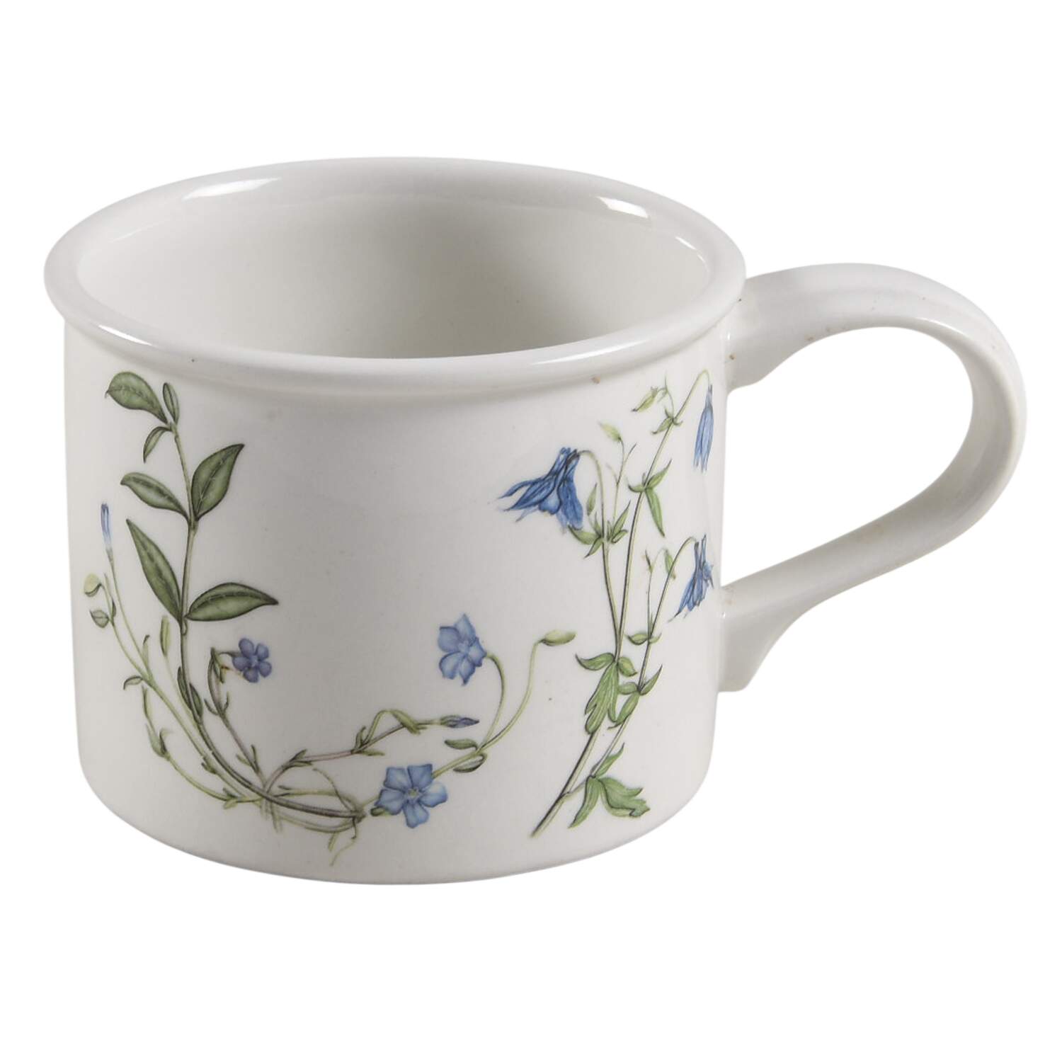 The Queen's Hidden Garden Drum Flat Cup by Portmeirion-1