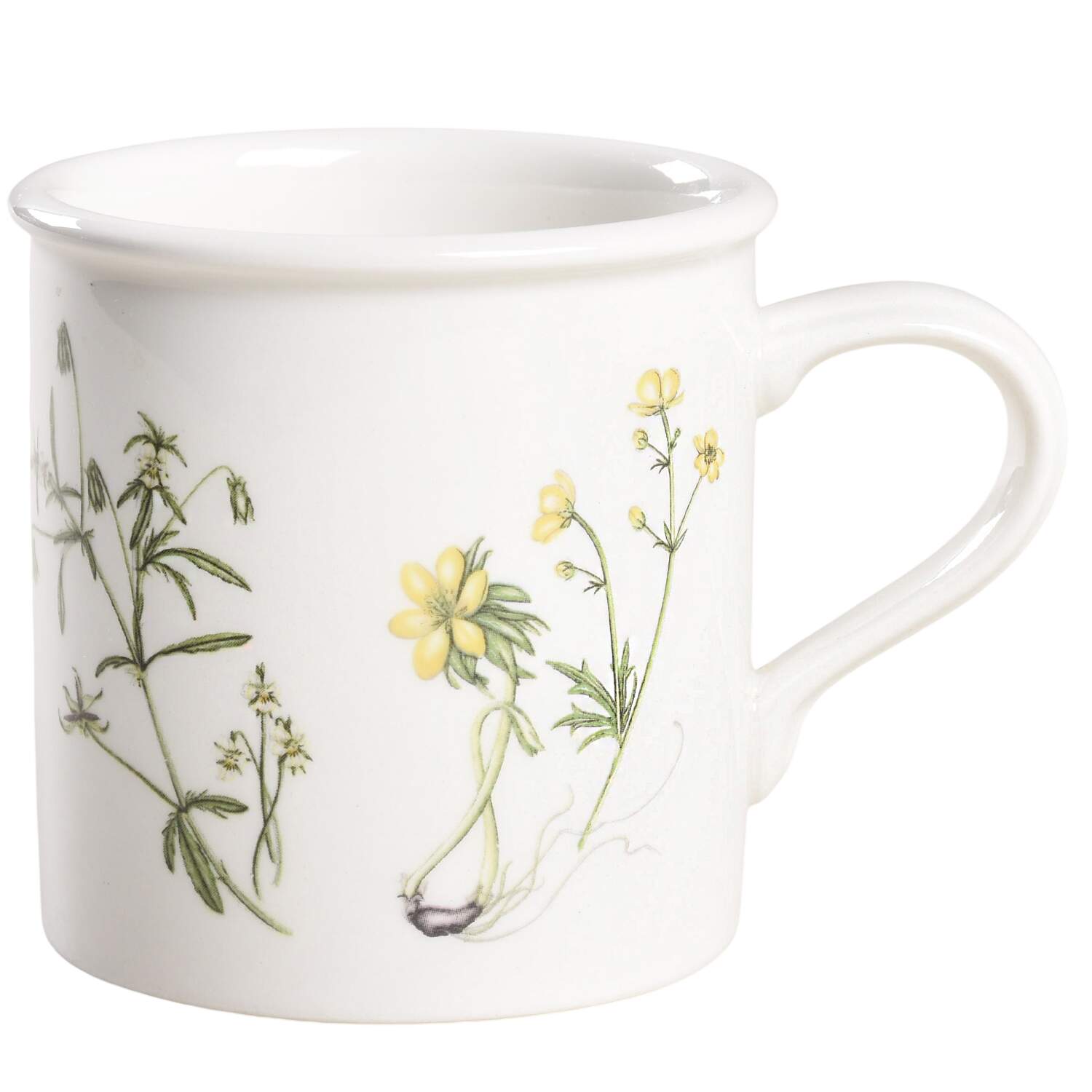 The Queen's Hidden Garden Flat Demitasse Cup by Portmeirion-1