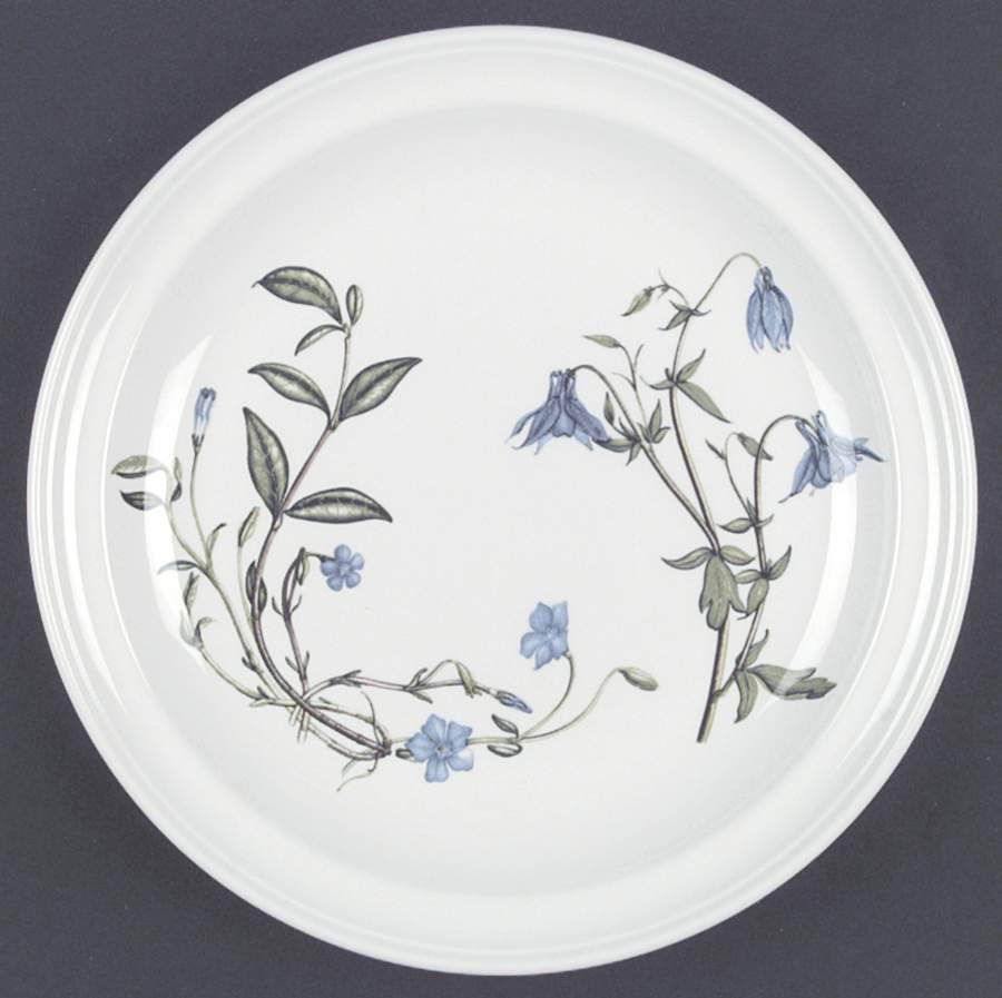 The Queen's Hidden Garden Dinner Plate by Portmeirion-1