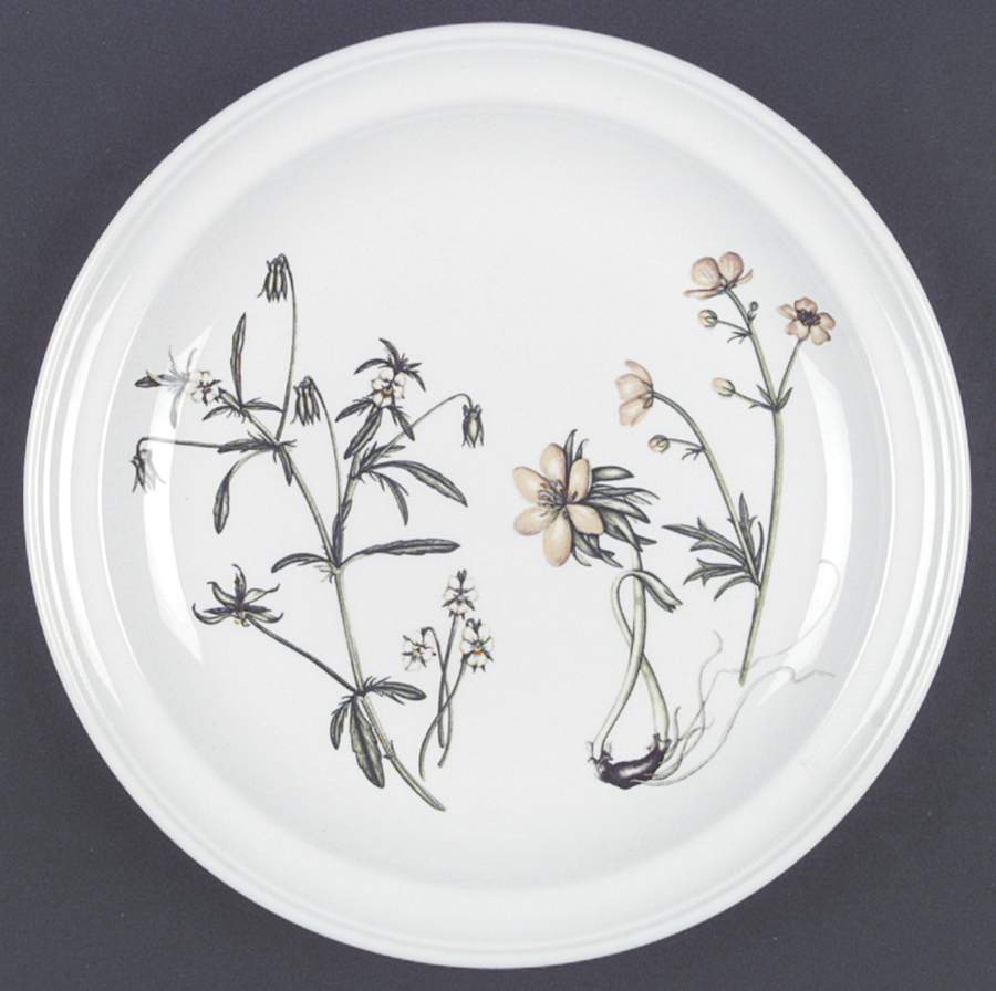 The Queen's Hidden Garden Dinner Plate by Portmeirion-1