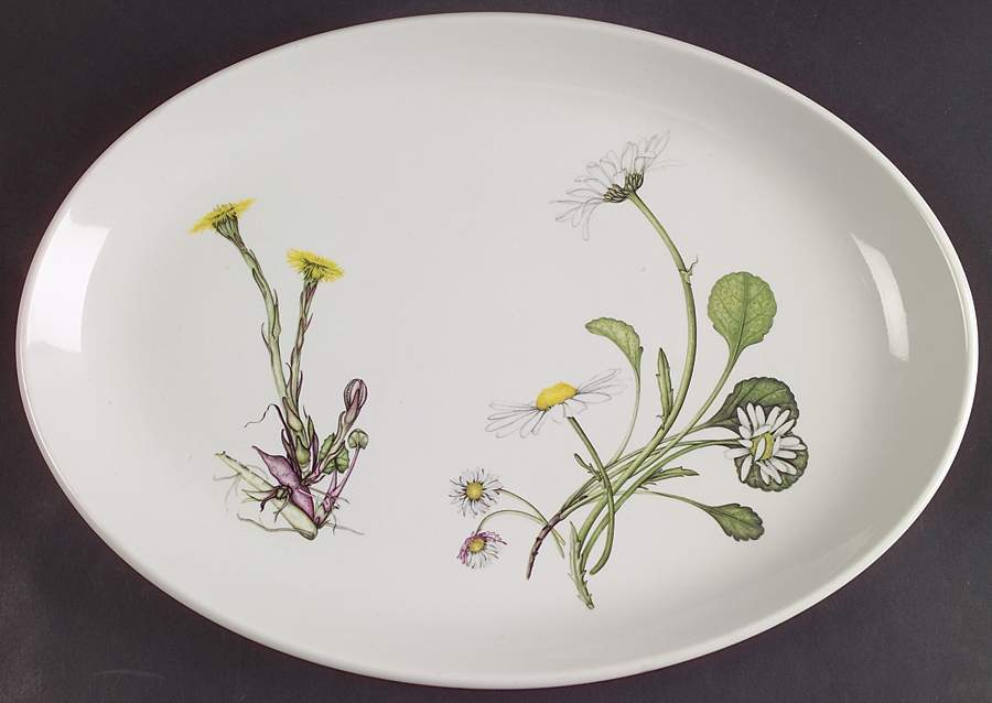 The Queen's Hidden Garden 12" Oval Steak Platter by Portmeirion-1