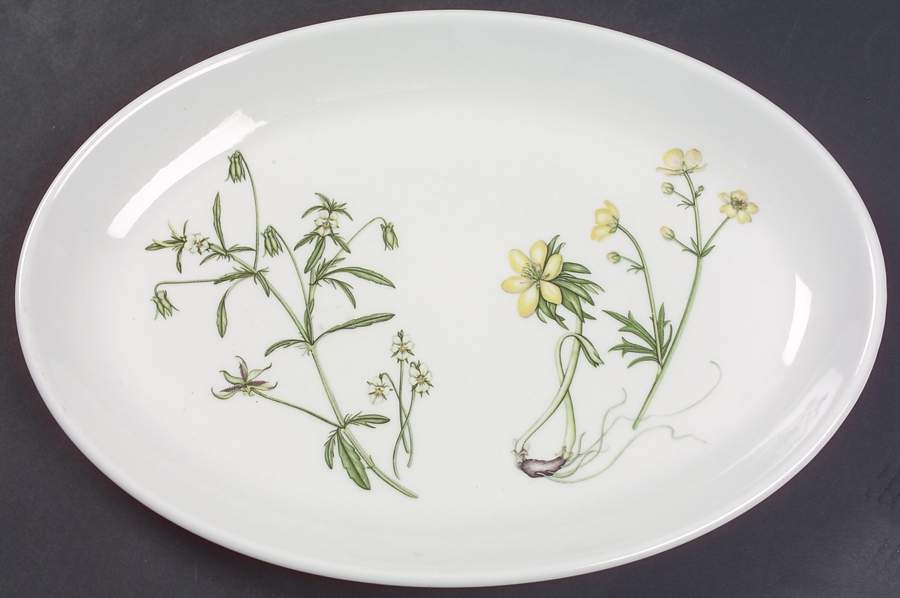 The Queen's Hidden Garden 12" Oval Steak Platter by Portmeirion-1