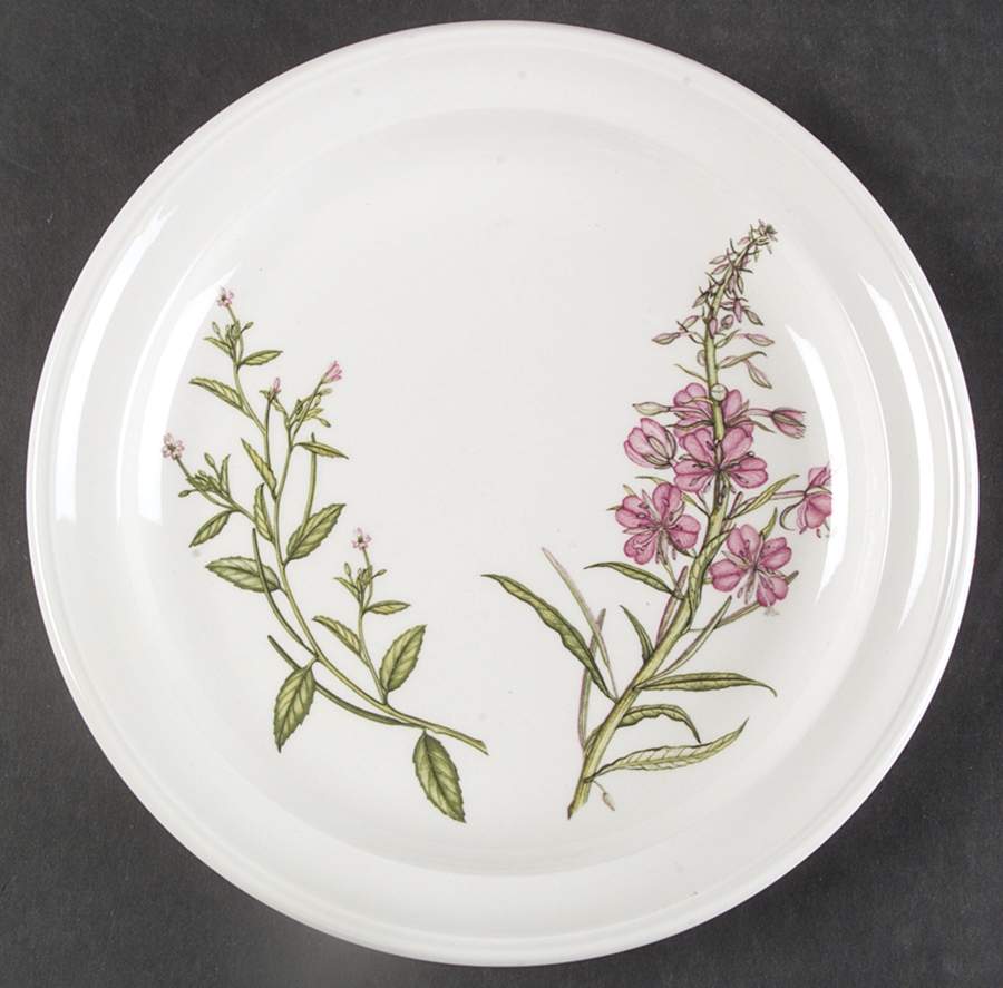 The Queen's Hidden Garden Salad Plate by Portmeirion-1