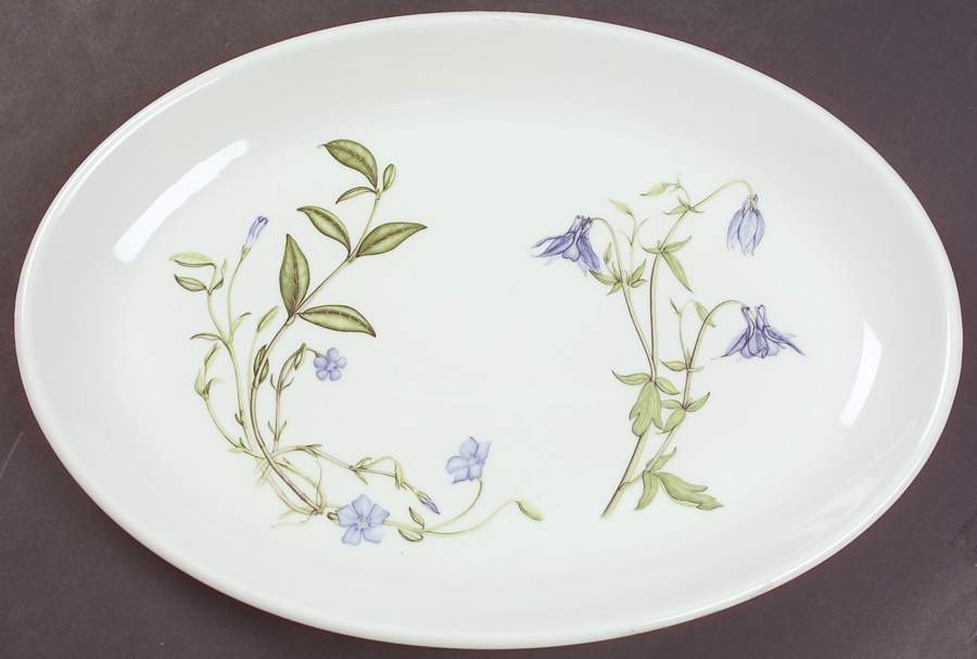 The Queen's Hidden Garden 10" Oval Steak Platter by Portmeirion-1