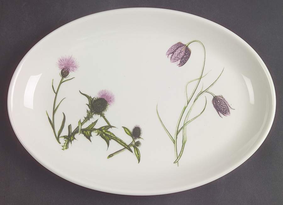The Queen's Hidden Garden 10" Oval Steak Platter by Portmeirion-1