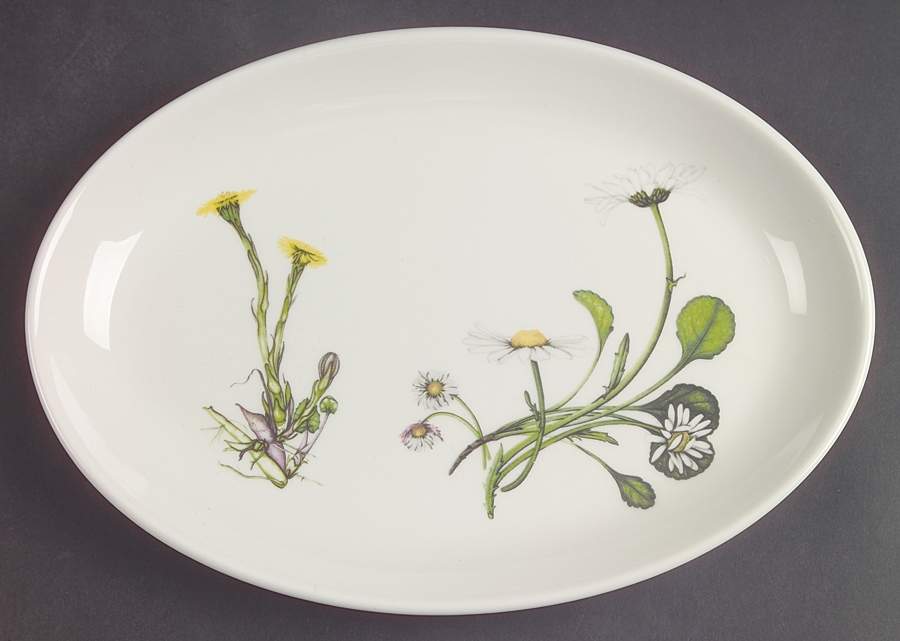 The Queen's Hidden Garden 10" Oval Steak Platter by Portmeirion-1
